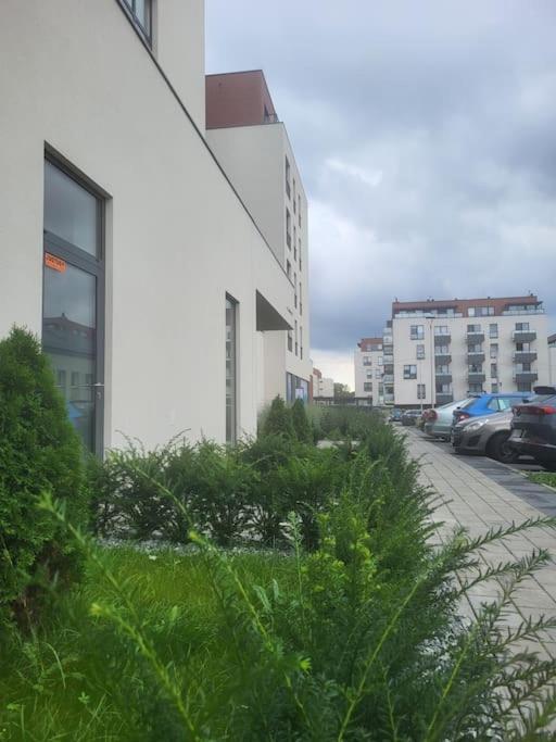 Olive Tree Apartment - Klimatyzacja - Air Conditioning-Self-Check-In Kattowitz Exterior foto